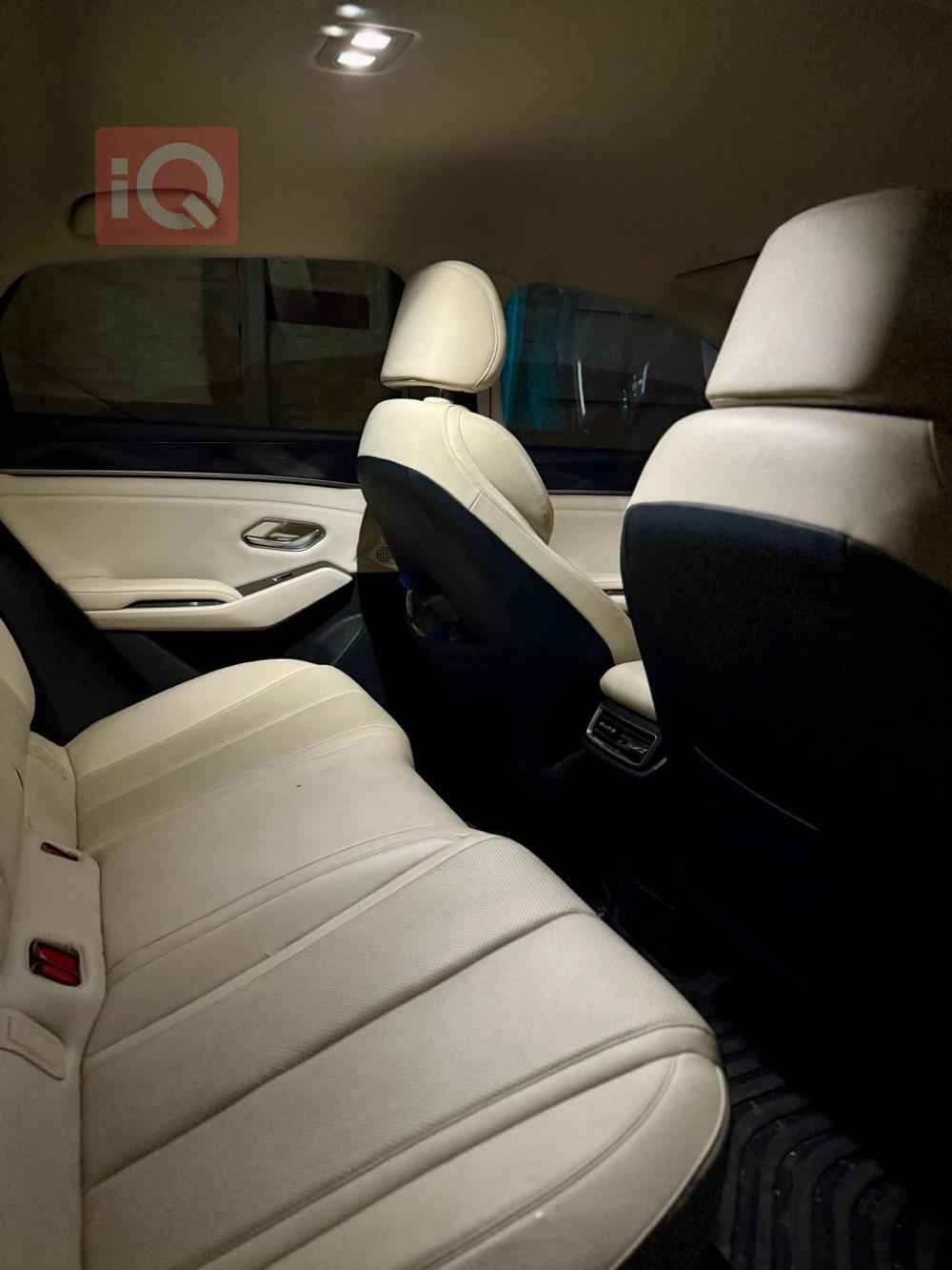 BYD QIN L DM-i
